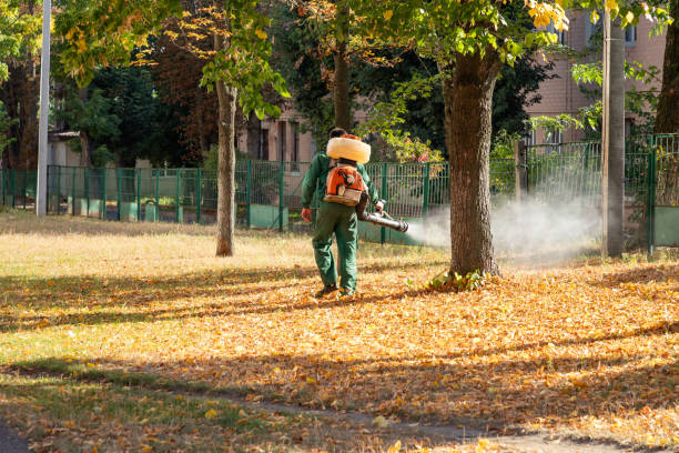 Best Wasp Removal Services  in West Belmar, NJ